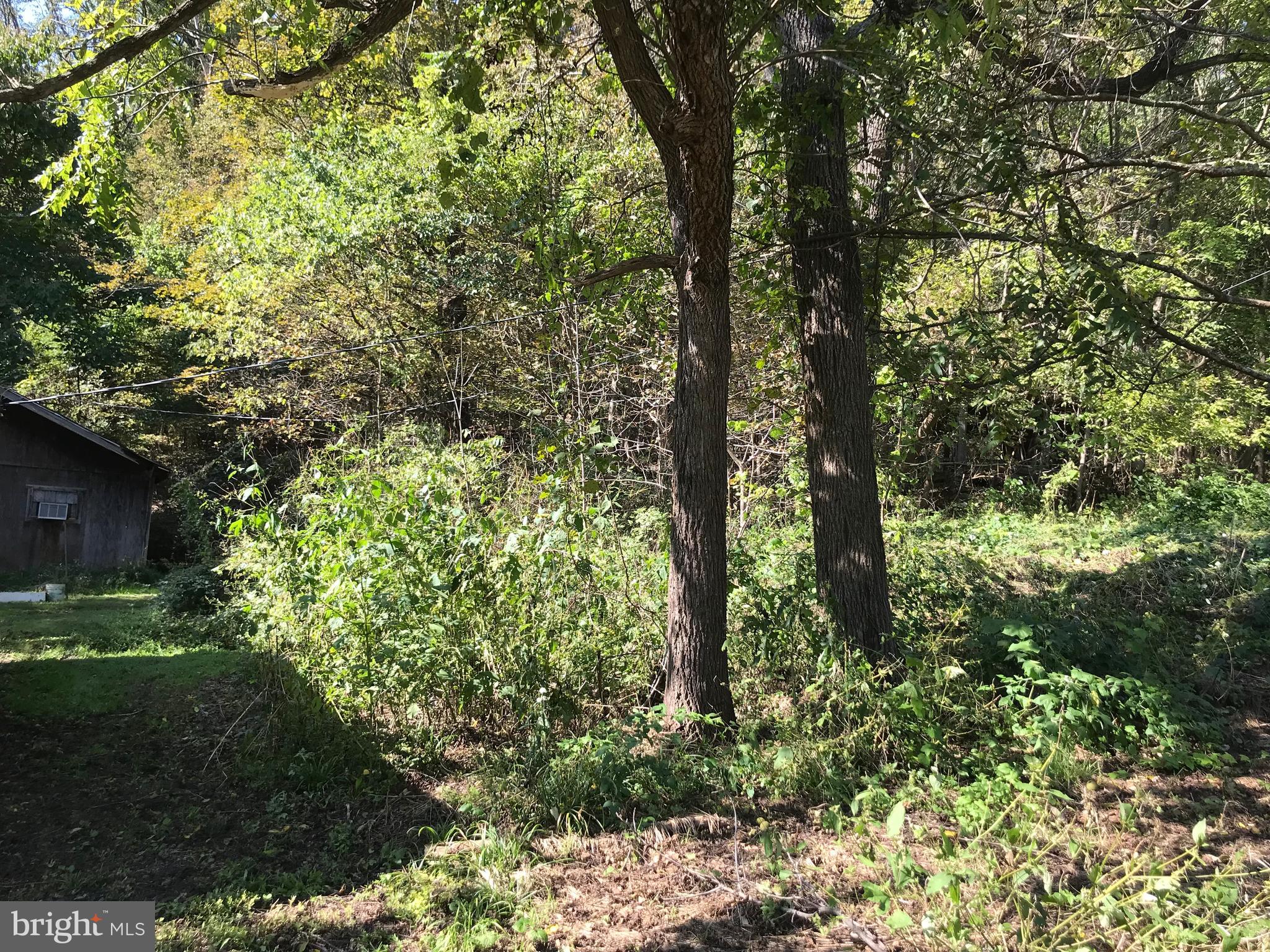 12204 Pleasant Valley Road Smithsburg, MD 21783 - Photo 1 of 5 Wooded lot nears the Appalachian Trail
