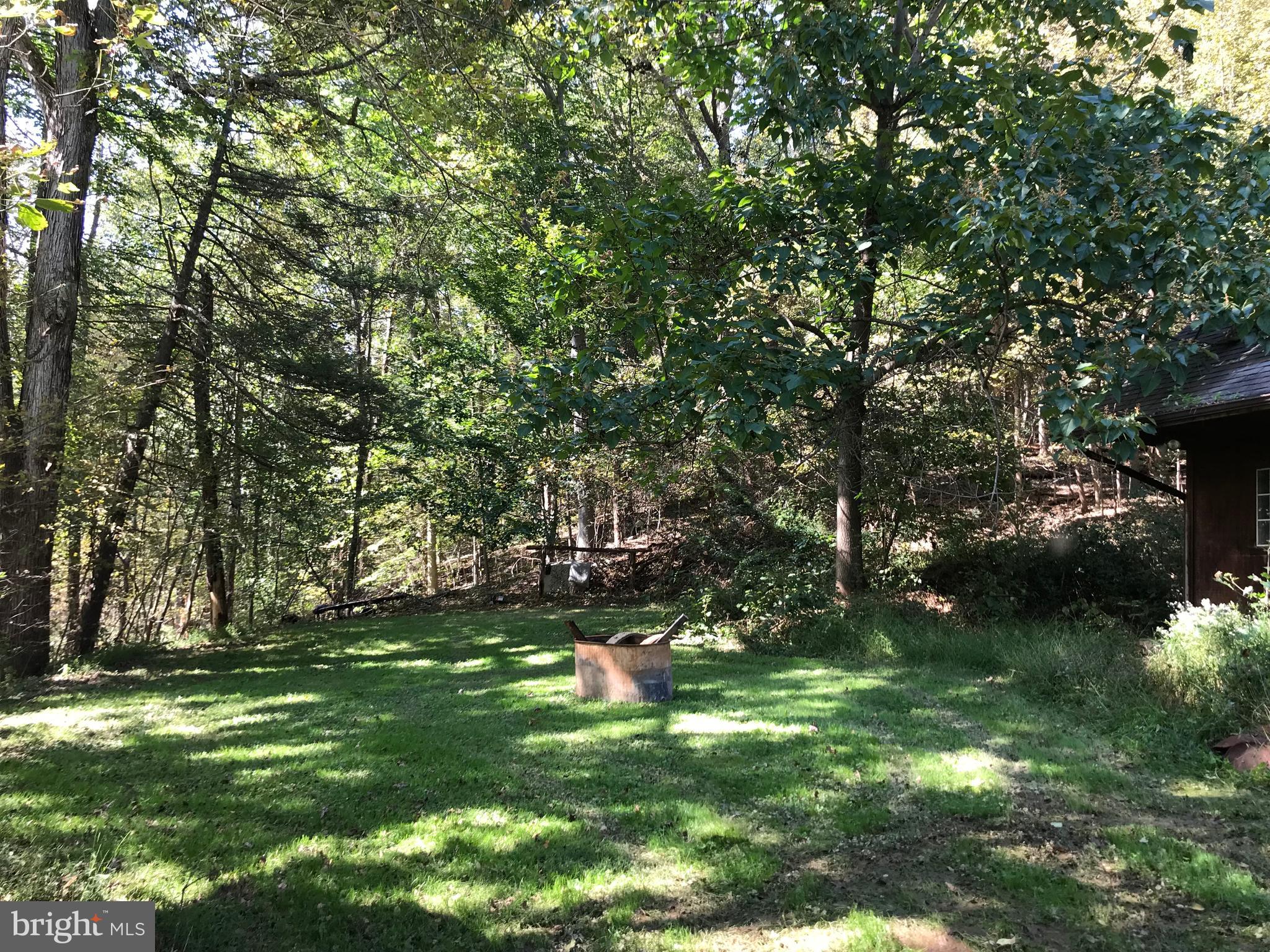 12204 Pleasant Valley Road Smithsburg, MD 21783 - Photo 2 of 5 Back Yard