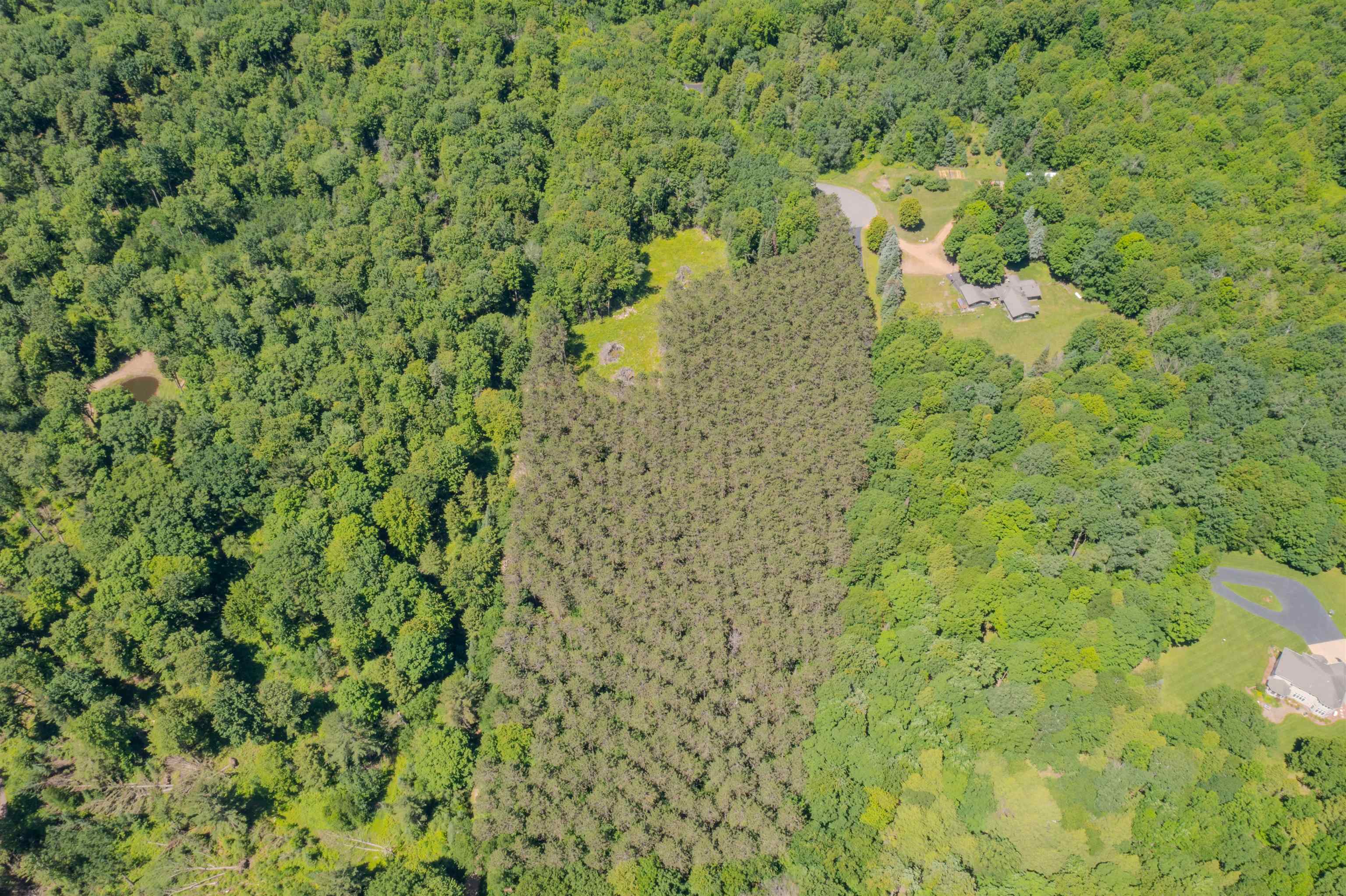 225449 Star Dust Lane Ringle, WI 54471 - Photo 6 of 13