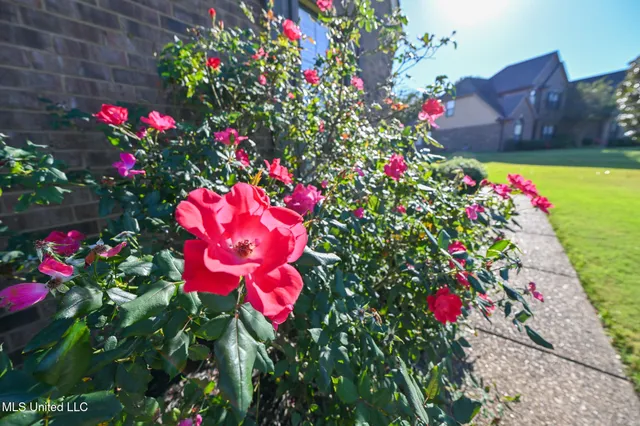 $499,900 | 14291 Buttercup Drive, Olive Branch, MS 38654