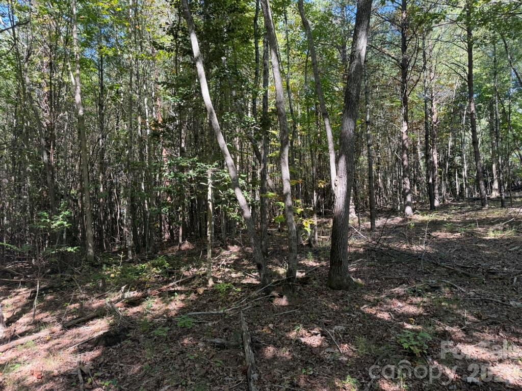 3523 Pax Hill Road Morganton, NC 28655 - Photo 8 of 14 Gallery Image 8