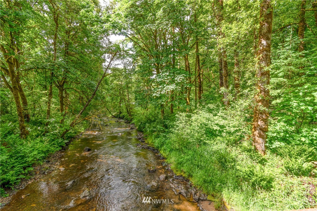 106 Slide Creek Road Longview, WA 98632 - Photo 8 of 38 a view of a lush green forest