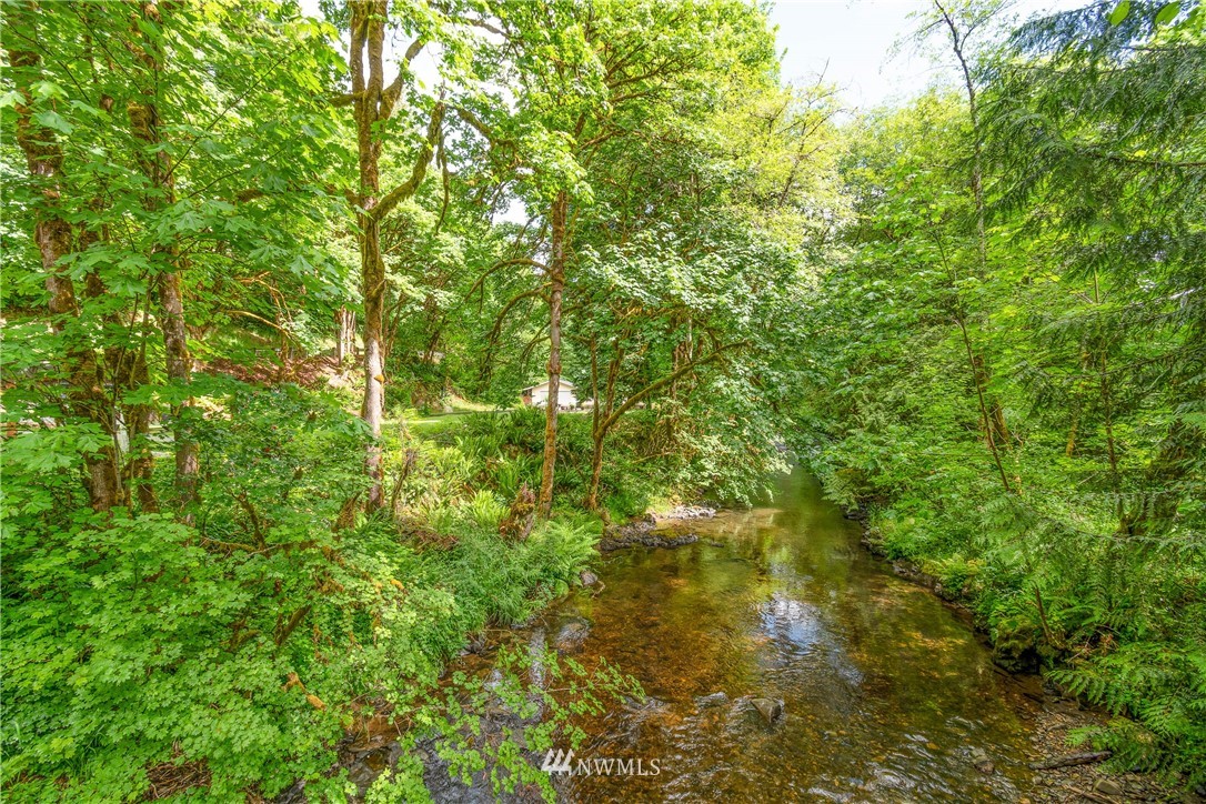 106 Slide Creek Road Longview, WA 98632 - Photo 9 of 38 a view of a lush green forest