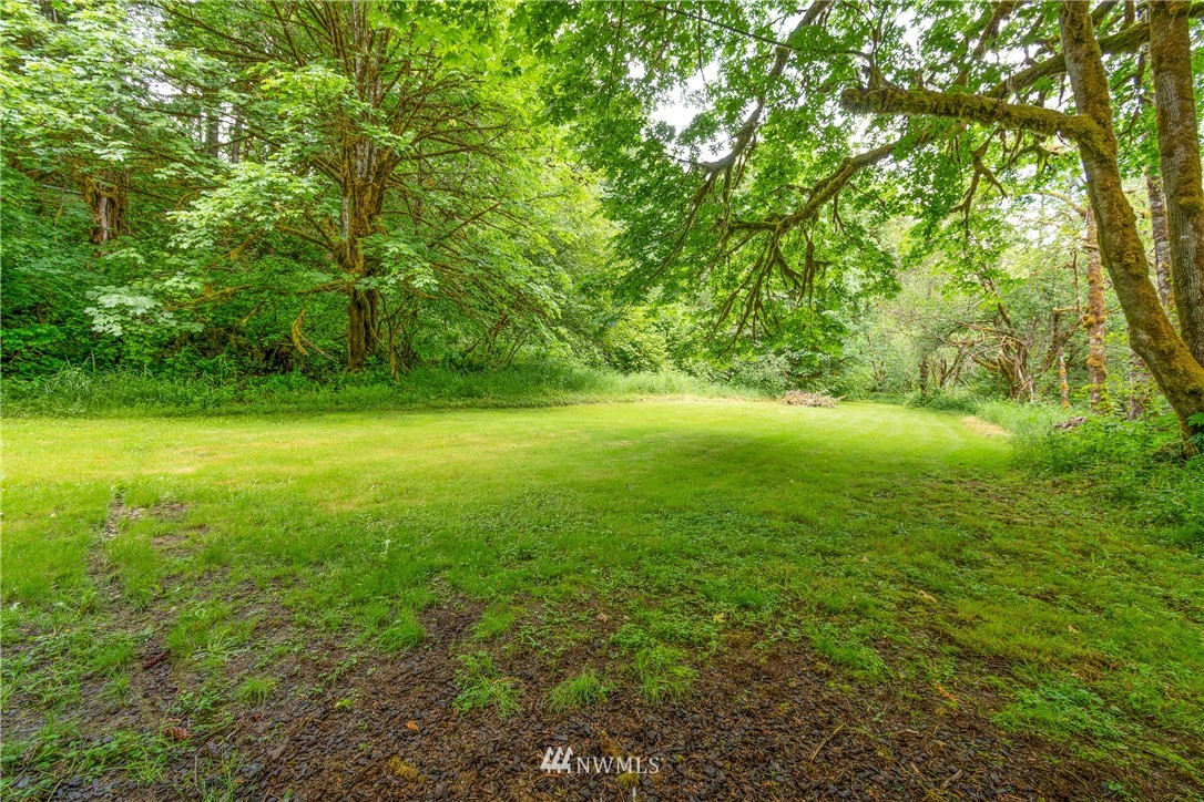 106 Slide Creek Road Longview, WA 98632 - Photo 10 of 38 a view of yard with green space and trees all around