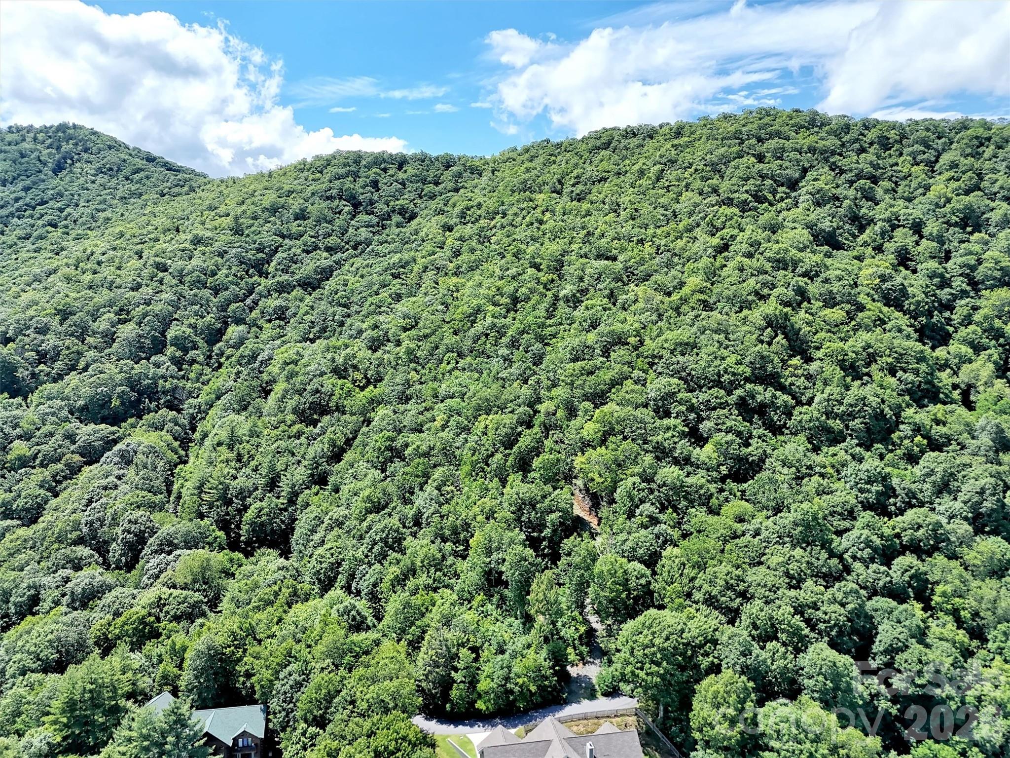 0 Rising Sun Road, Unit 338 Waynesville, NC 28786 - Photo 5 of 18 a view of a large yard with lots of green space