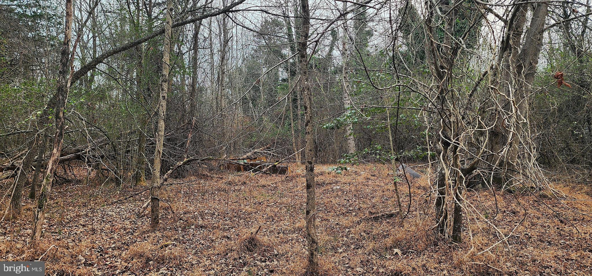 1064 Hunters Lodge Road Palmyra, VA 22963 - Photo 17 of 25