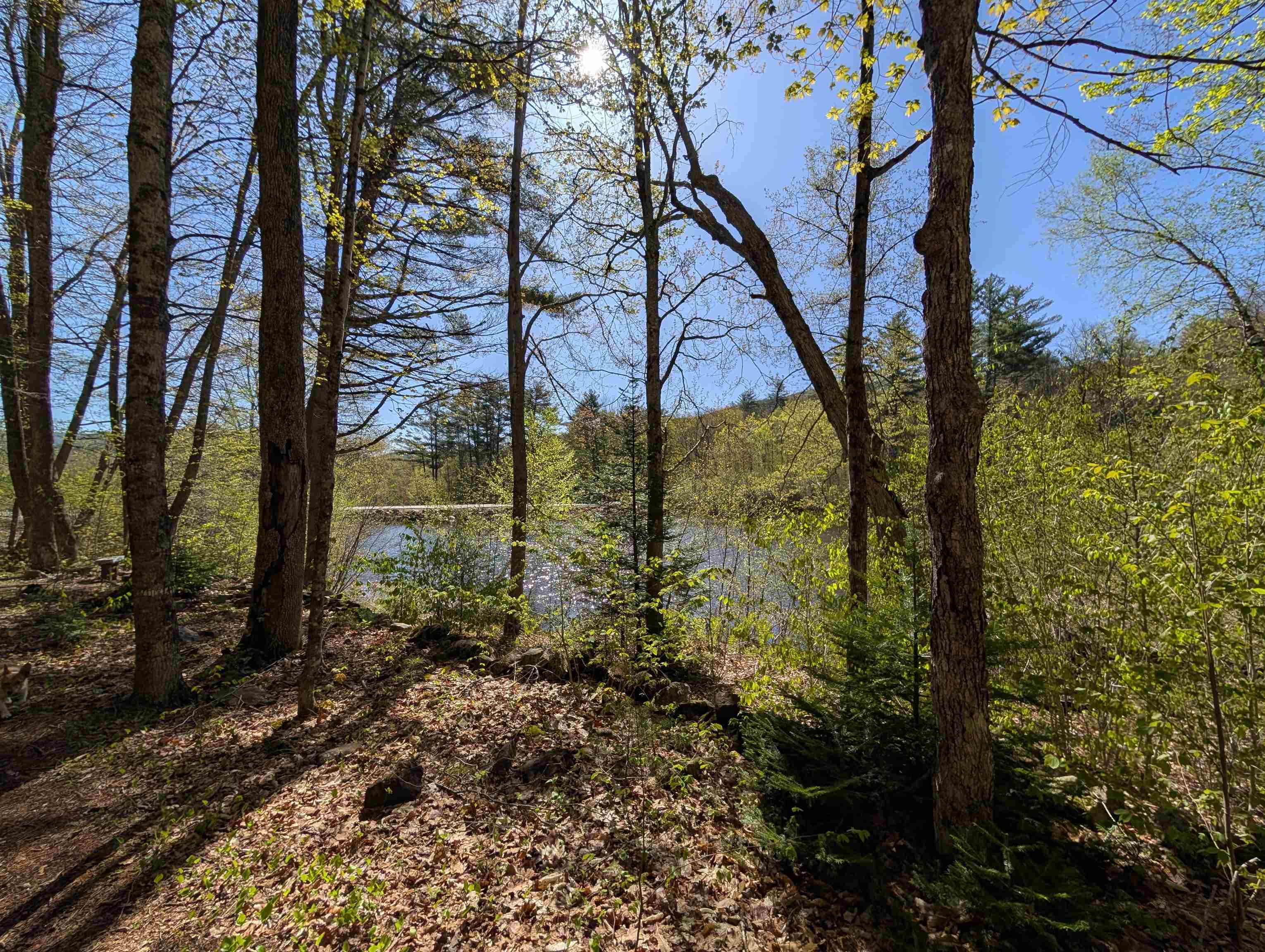 28-1 Condo Road, Unit 1 Campton, NH 03223 - Photo 37 of 42