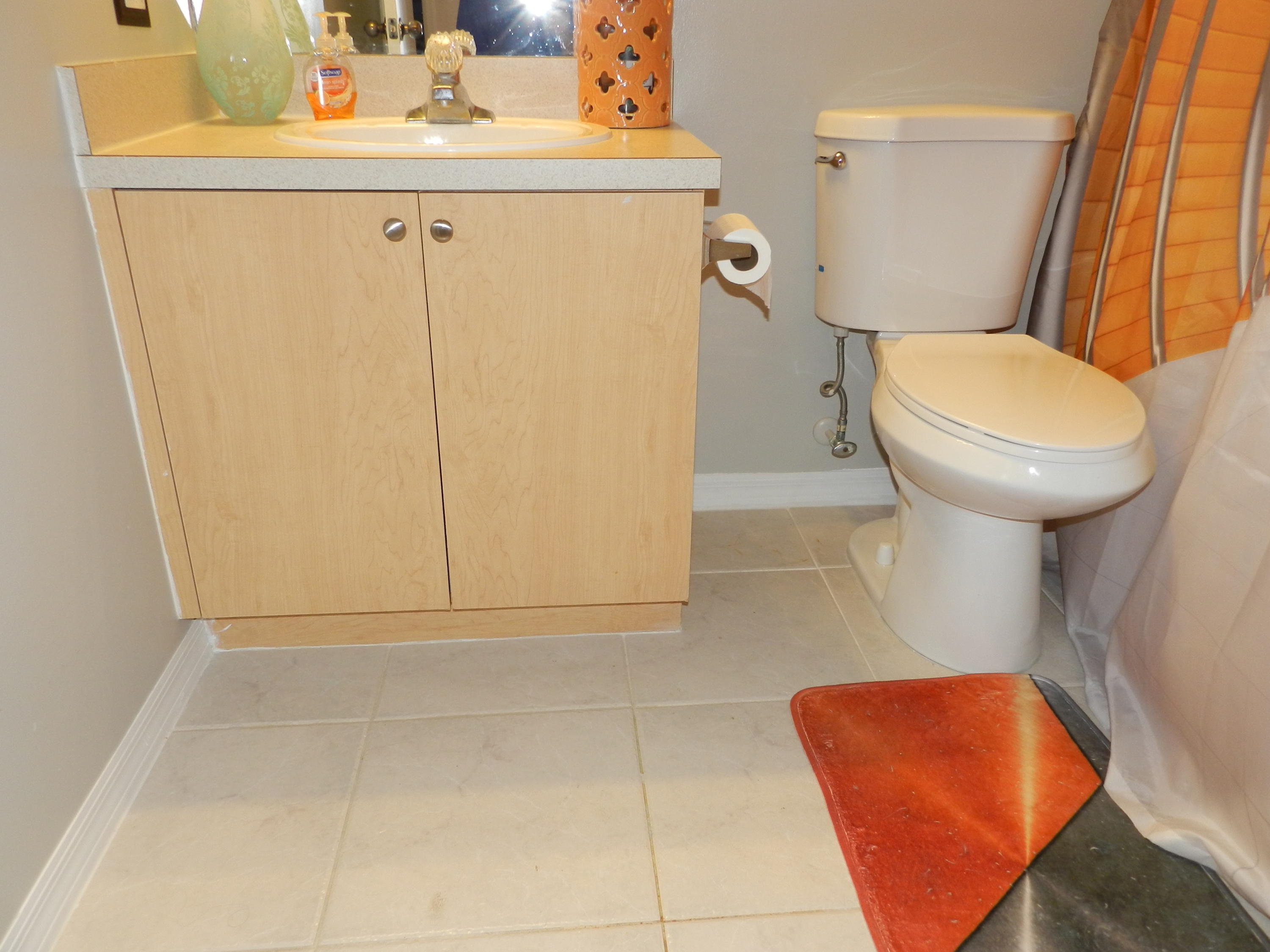 10348 Fox Trail Road South, Unit 512 Royal Palm Beach, FL 33411 - Photo 16 of 21 DSCN0348