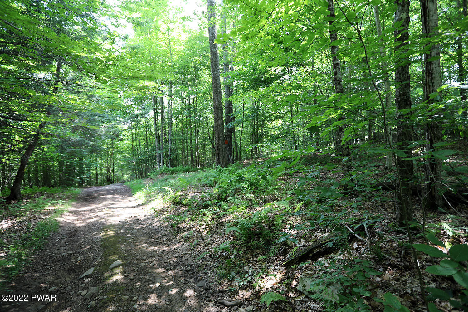 0 Minckler Mountain Road Damascus, PA 18415 - Photo 8 of 43
