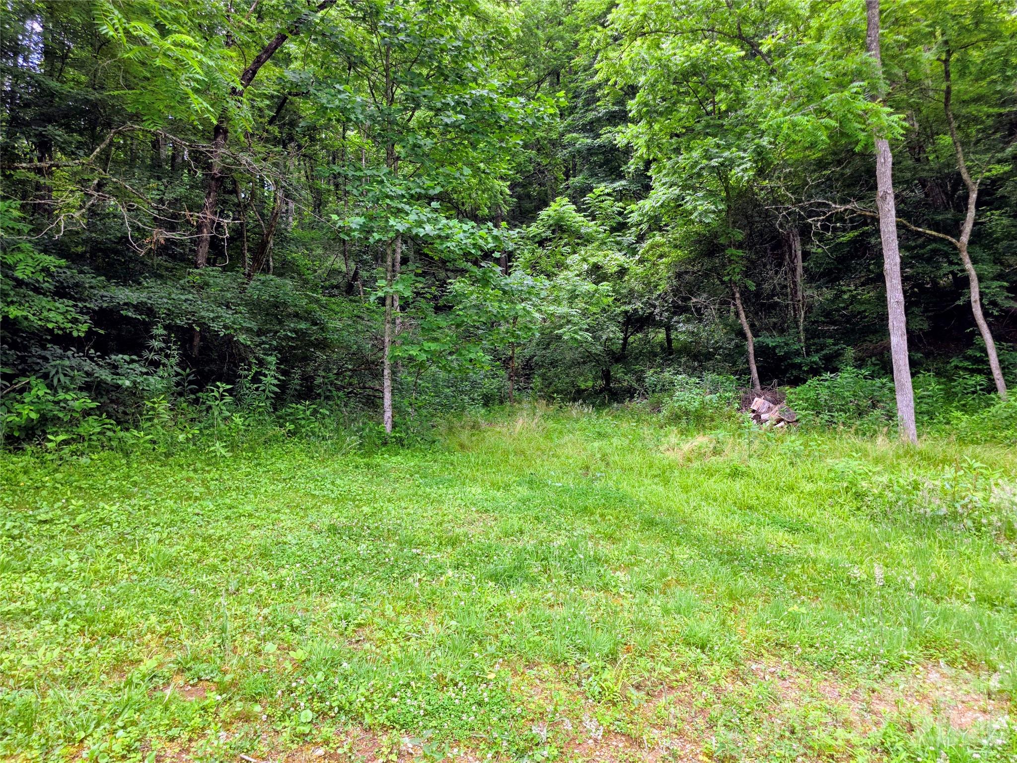 30 Evergreen Road Burnsville, NC 28714 - Photo 16 of 44