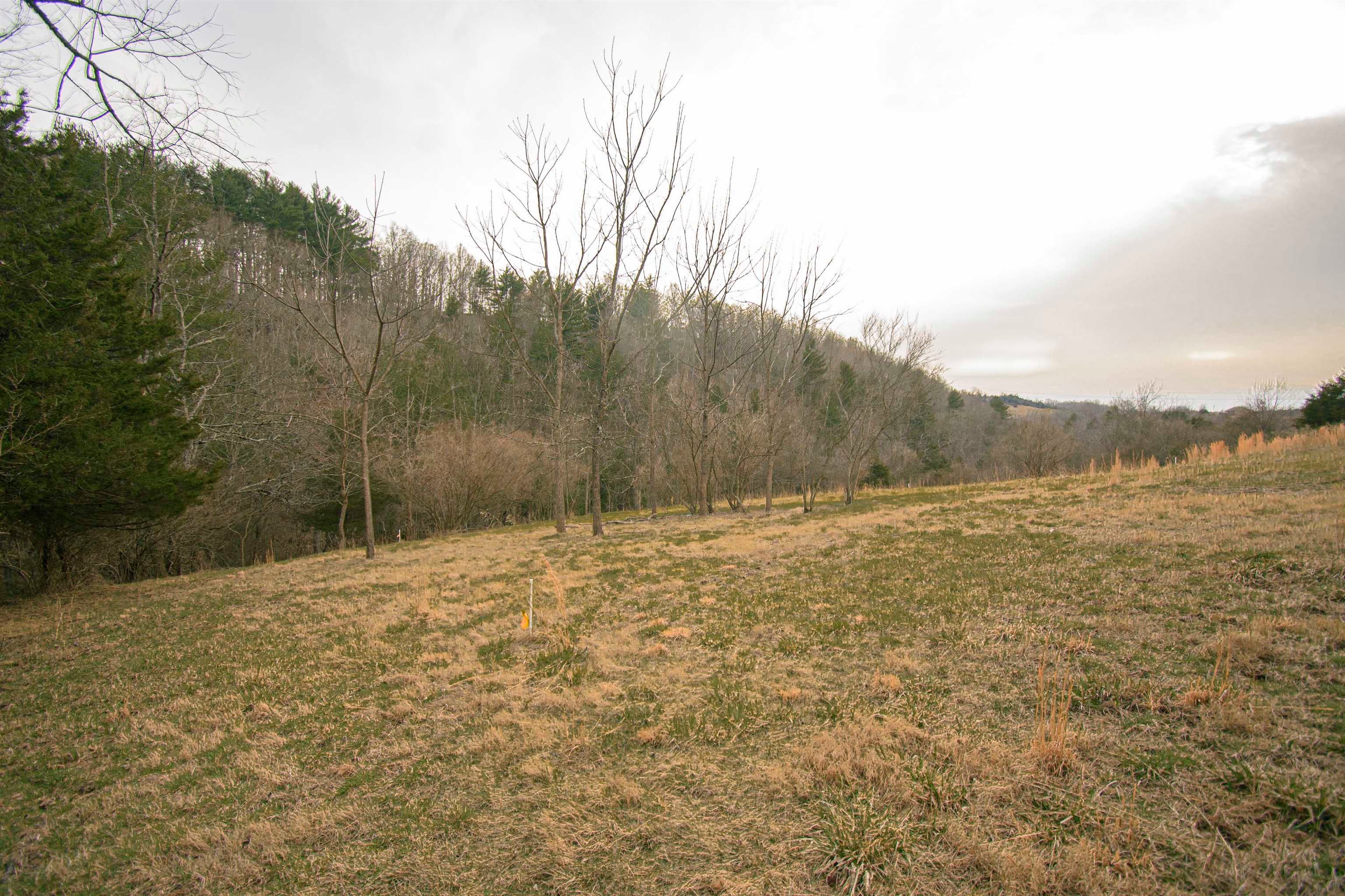Tbd Lot 8 Tbd Road Draper, VA 24324 - Photo 1 of 33 Gallery Image 1