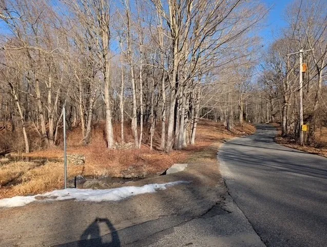 a view of road with large trees