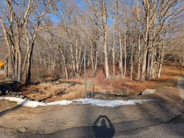 a view of a backyard of white house