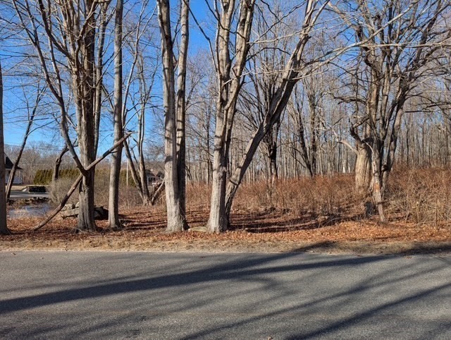 44 Munn Road Monson, MA 01057 - Photo 3 of 16