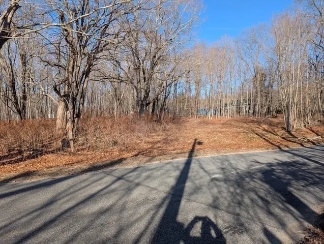 a view of backyard with wooden fence