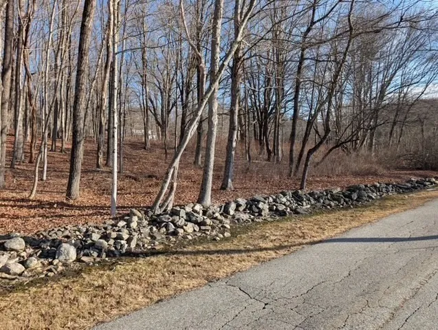 a view of a backyard of the house