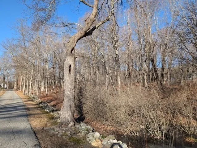 a view of a pathway of a building