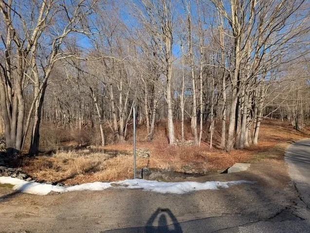 a view of a backyard of white house