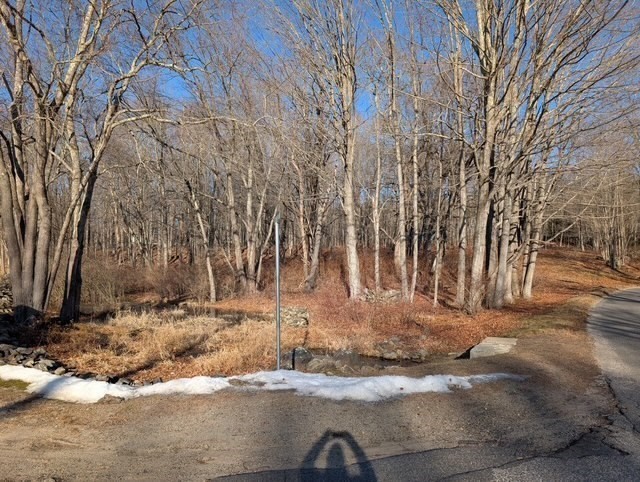 44 Munn Road Monson, MA 01057 - Photo 8 of 16