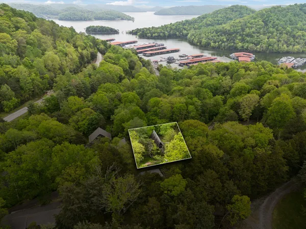 a view of a lush green field