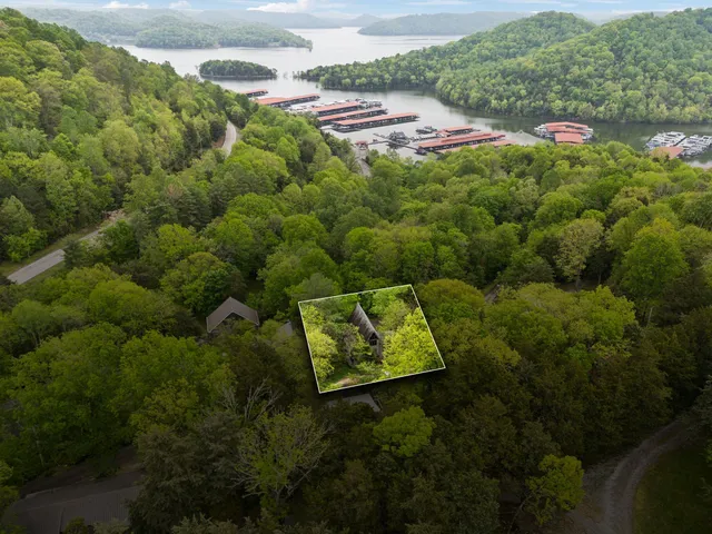 a view of a lush green field