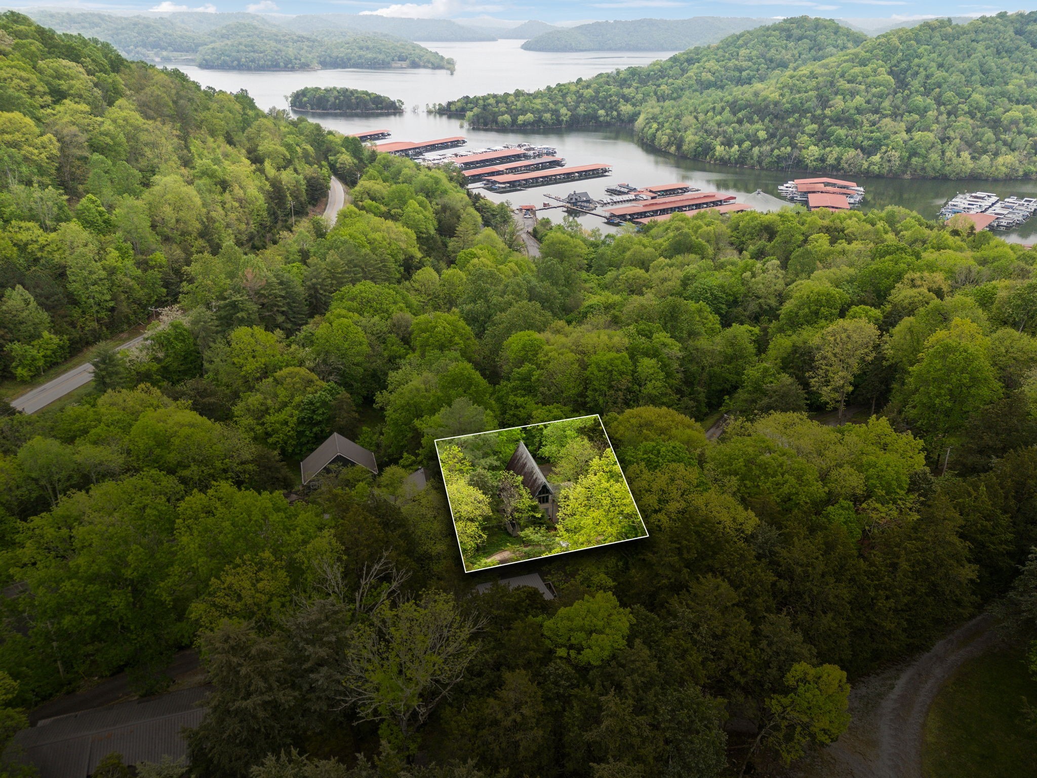 404 Duke Circle Lancaster, TN 38569 - Photo 38 of 43 a view of a lush green forest with swimming pool