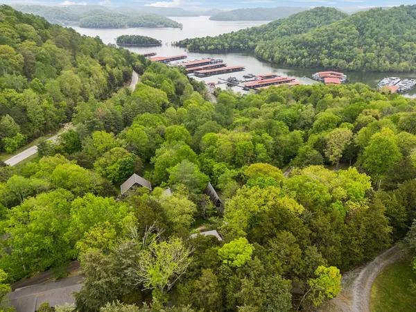 a view of a lush green field