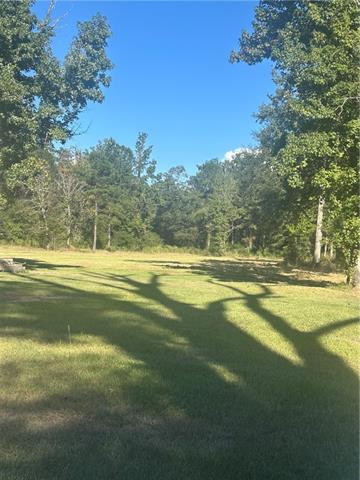 49102 Stafford Road Tickfaw, LA 70466 - Photo 2 of 5 Gallery Image 2