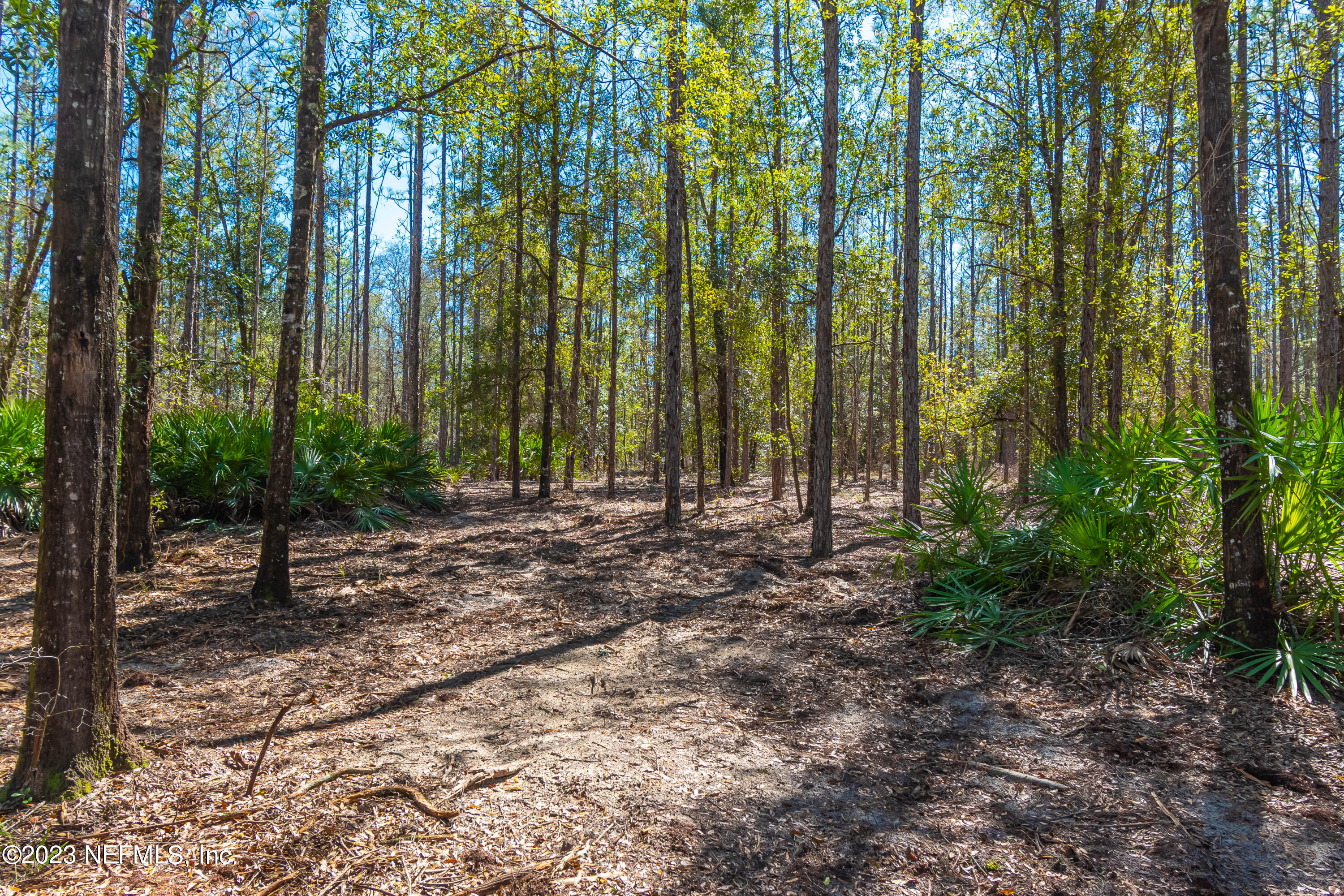 Lot 11 Steel Bridge Road Macclenny, FL 32063 - Photo 11 of 15 untitled-3690