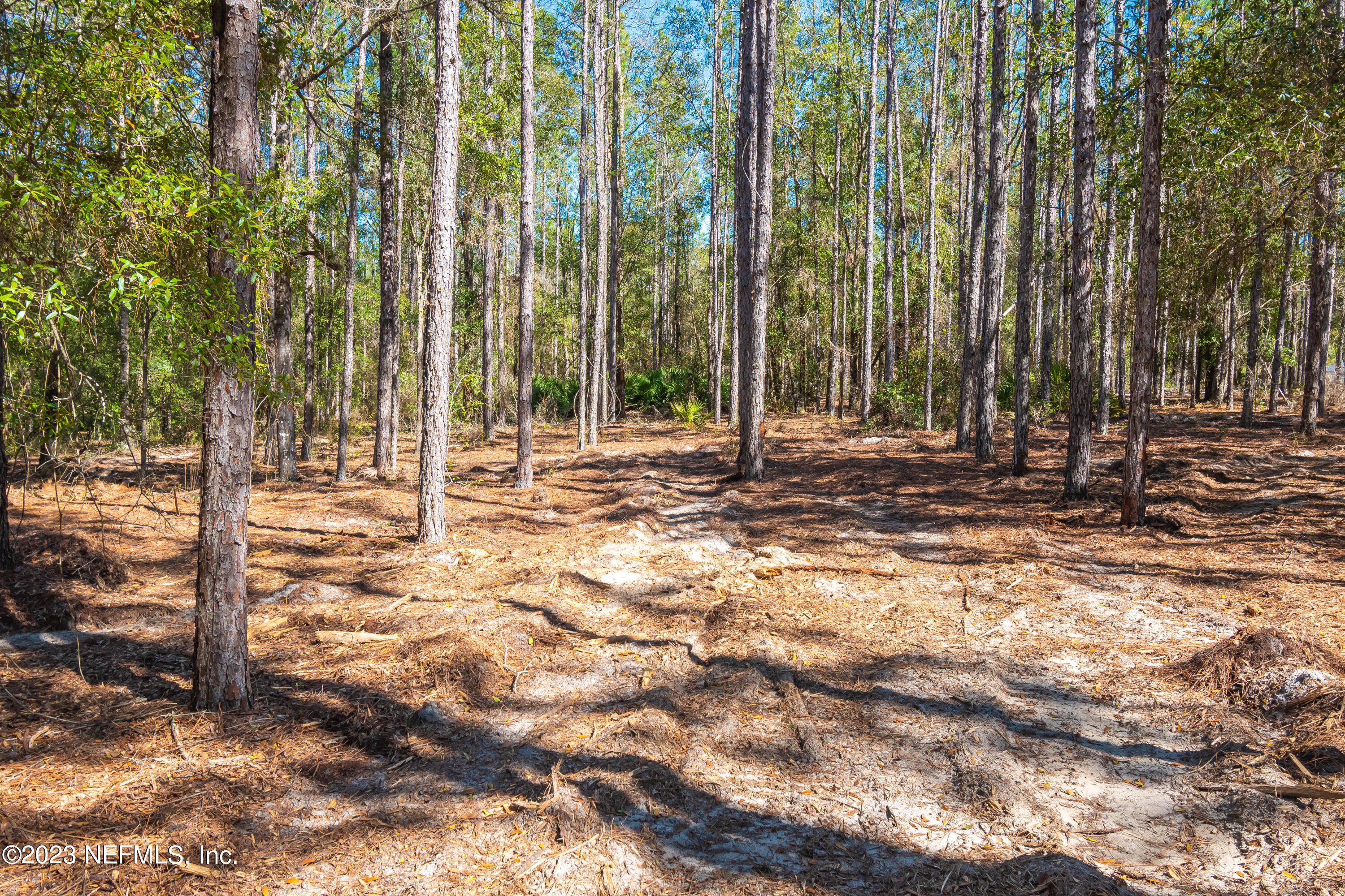 Lot 11 Steel Bridge Road Macclenny, FL 32063 - Photo 12 of 15 untitled-3693