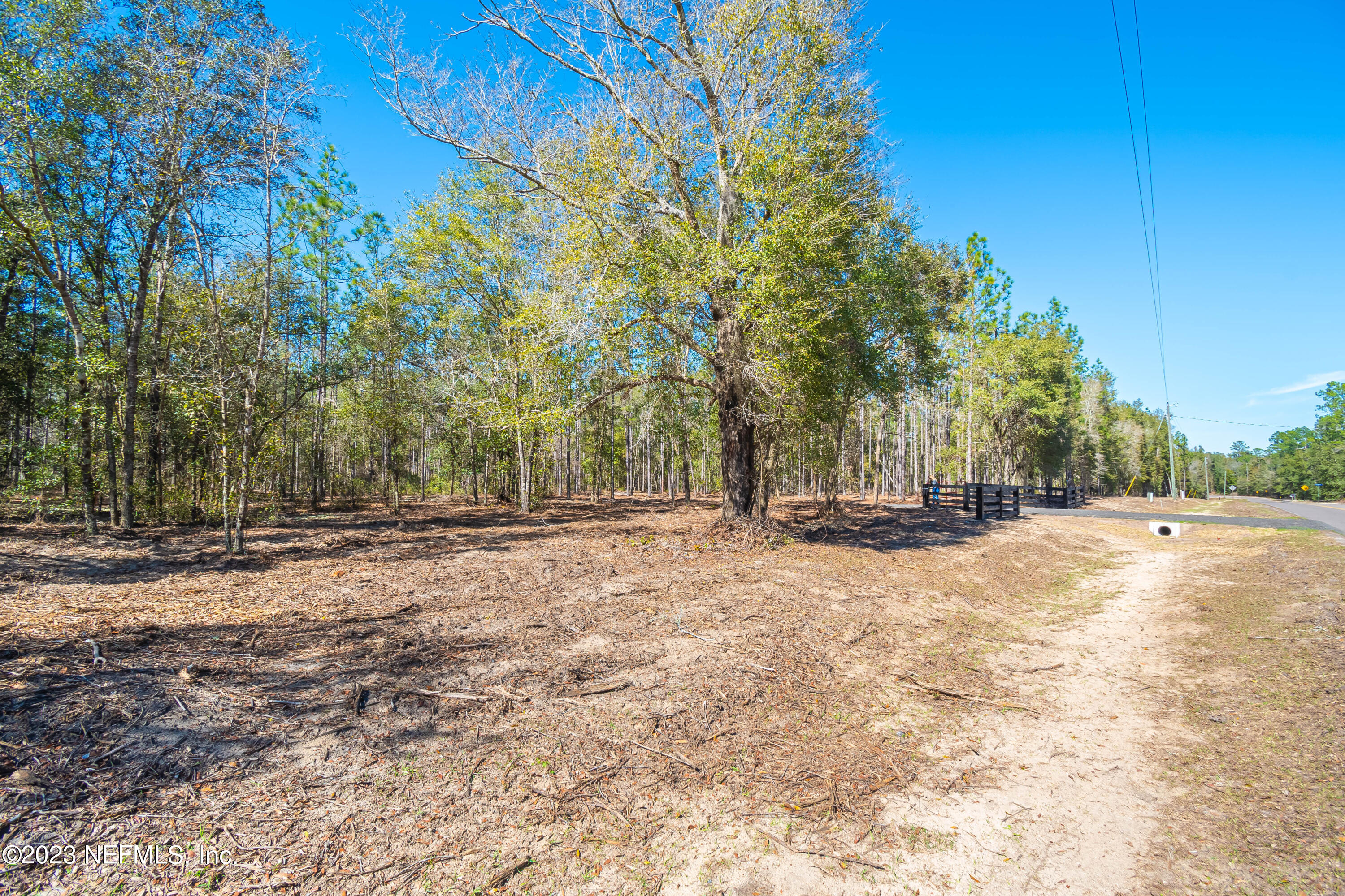 Lot 11 Steel Bridge Road Macclenny, FL 32063 - Photo 14 of 15 untitled-3712