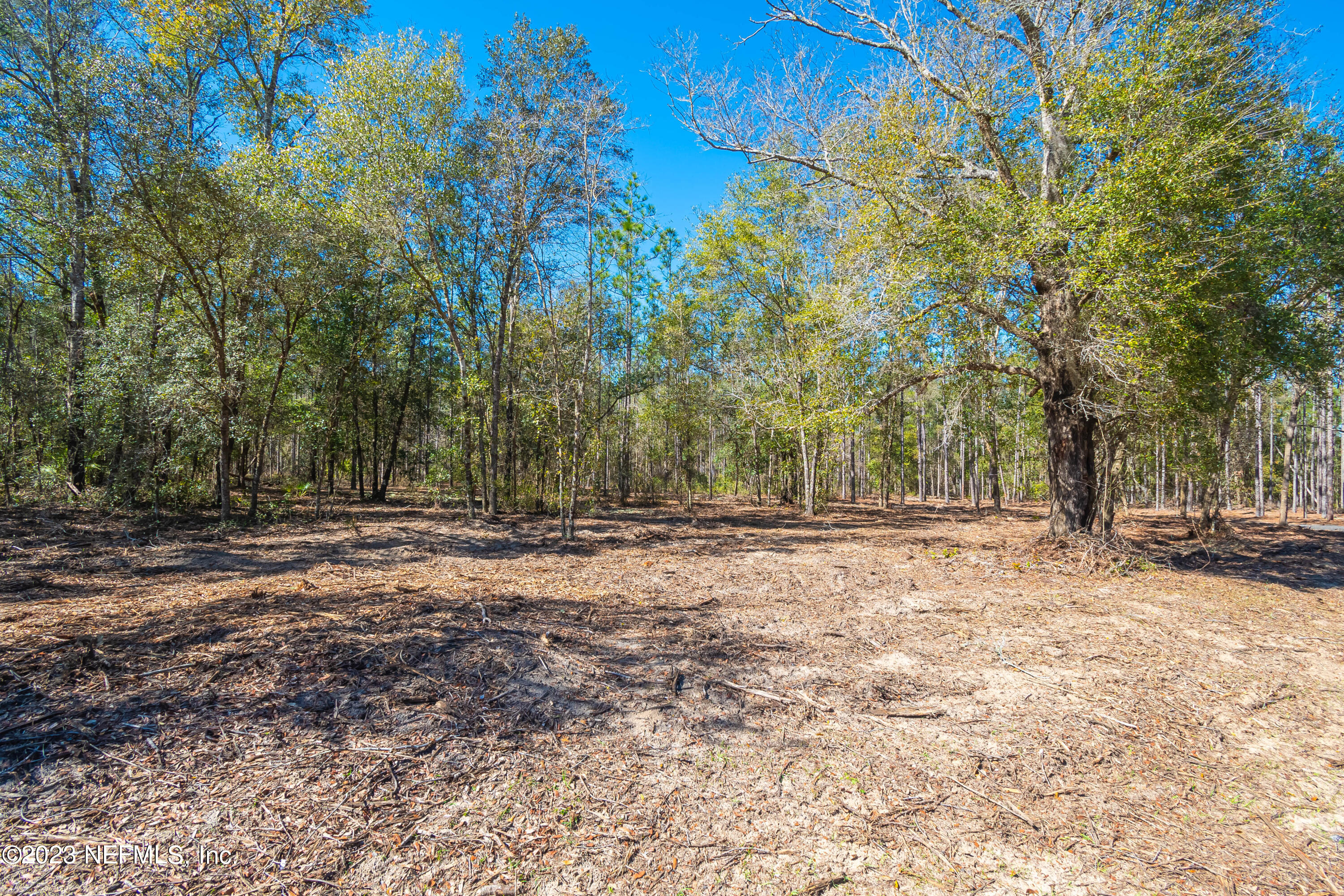 Lot 11 Steel Bridge Road Macclenny, FL 32063 - Photo 3 of 15 untitled-3710