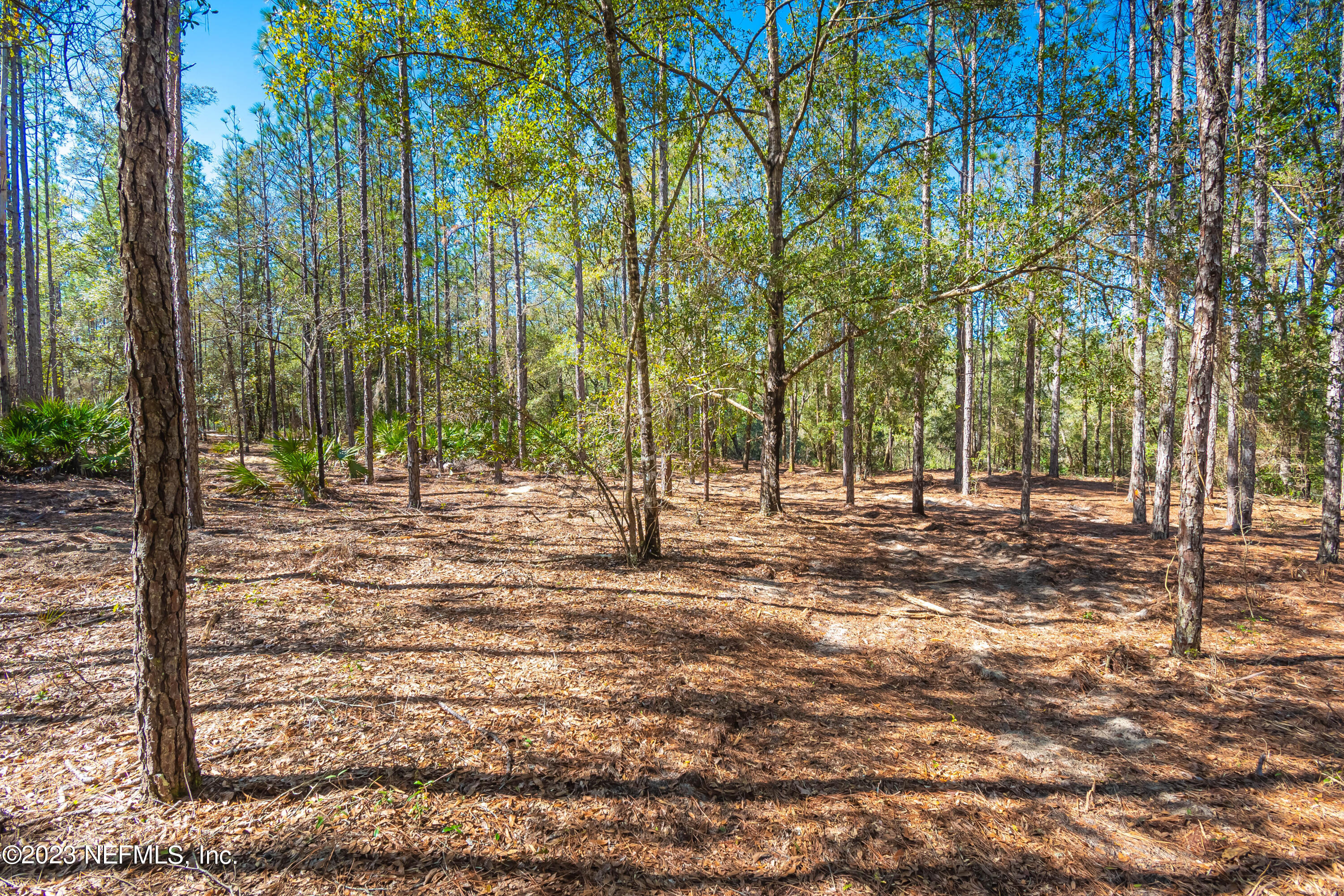Lot 11 Steel Bridge Road Macclenny, FL 32063 - Photo 5 of 15 untitled-3681