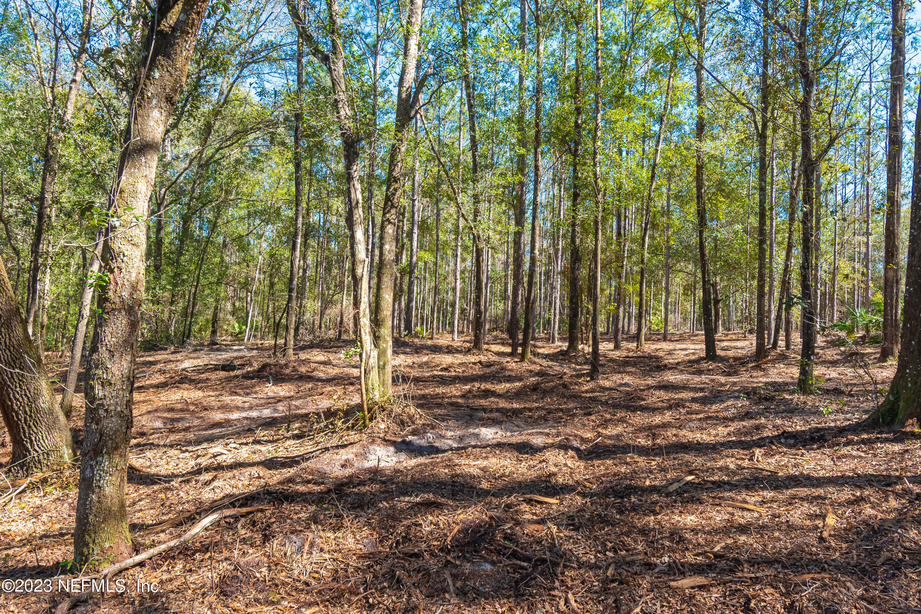 Lot 11 Steel Bridge Road Macclenny, FL 32063 - Photo 6 of 15 untitled-3685