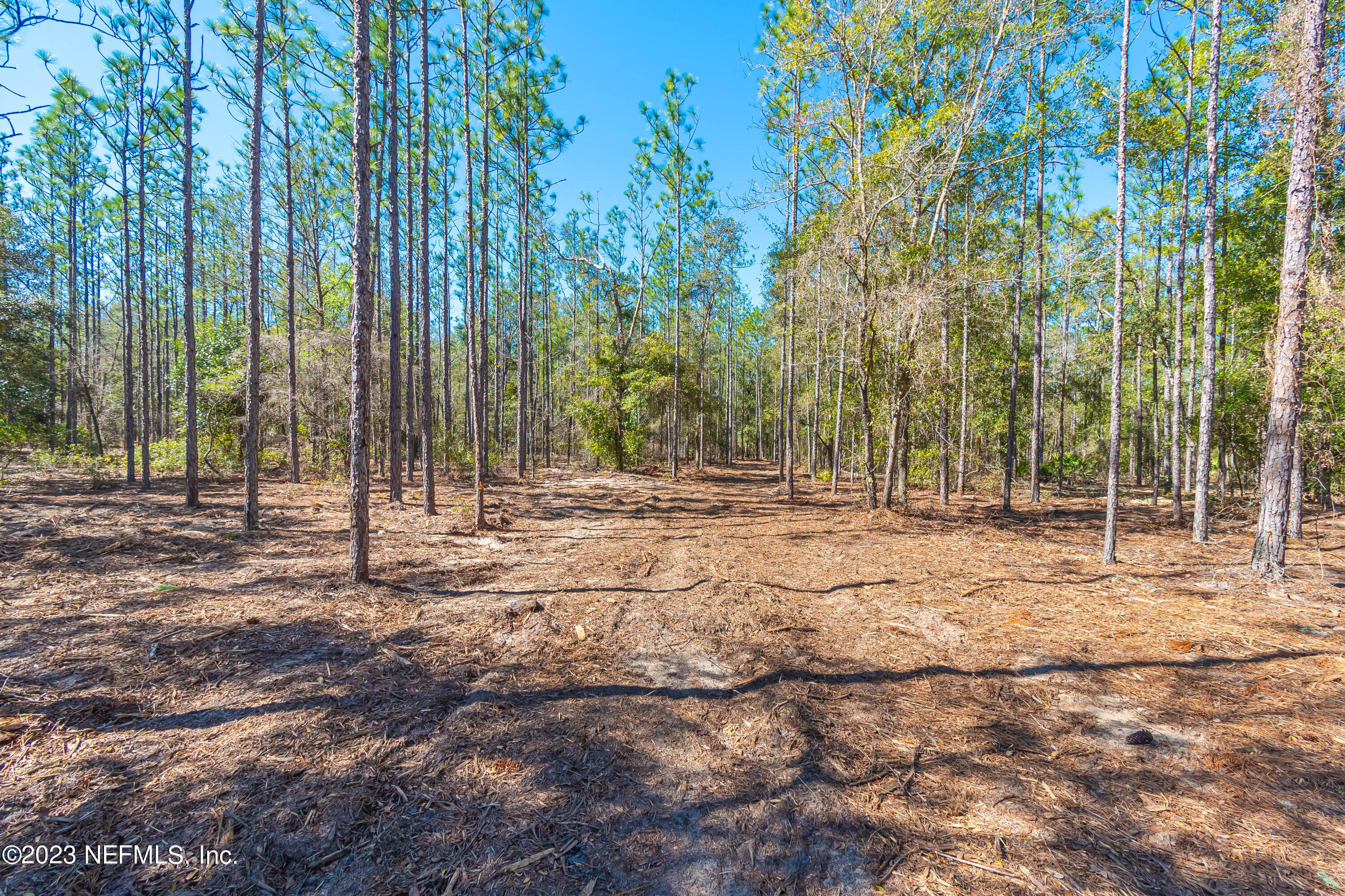 Lot 11 Steel Bridge Road Macclenny, FL 32063 - Photo 7 of 15 untitled-3673