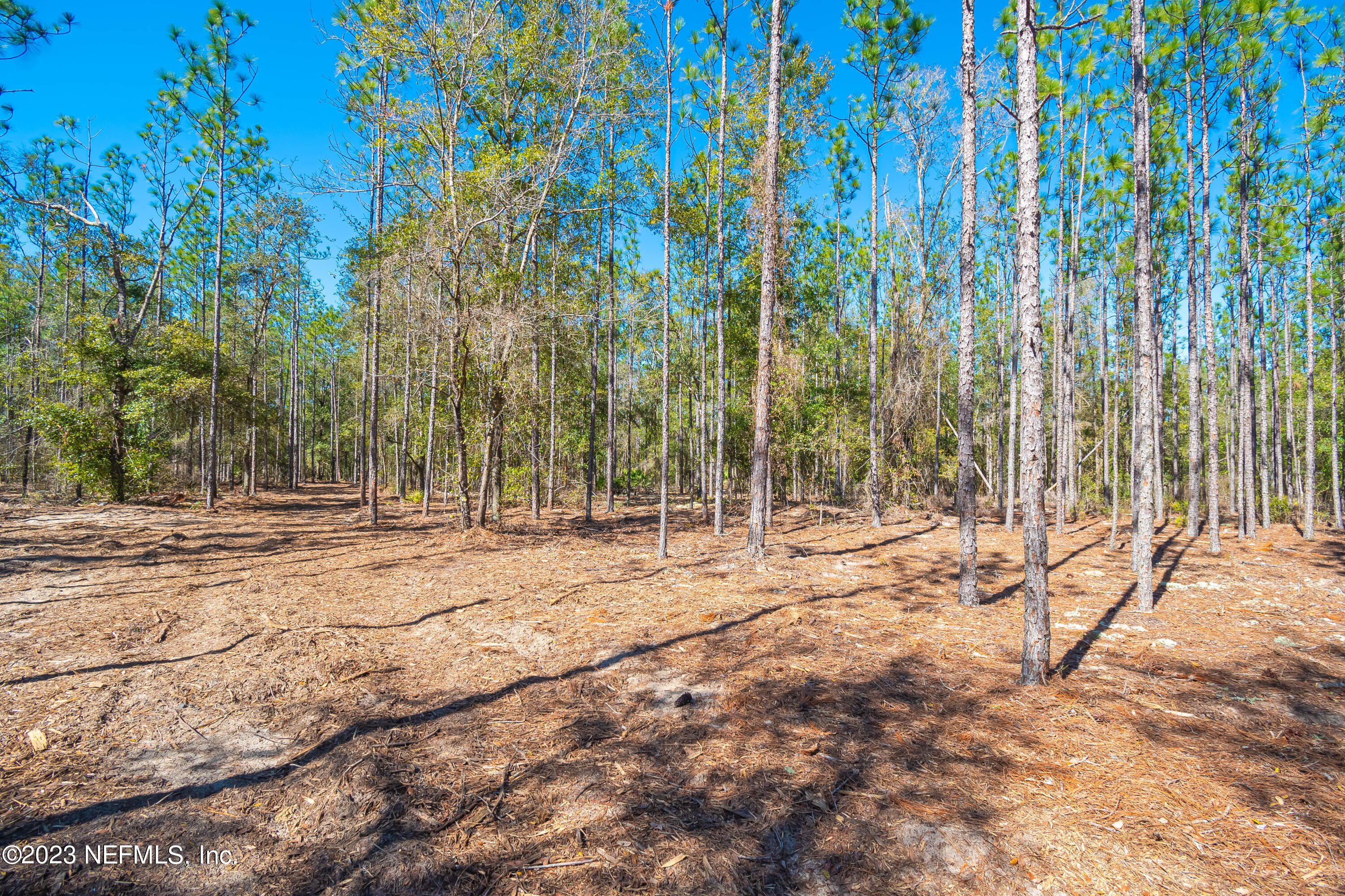 Lot 11 Steel Bridge Road Macclenny, FL 32063 - Photo 8 of 15 untitled-3675