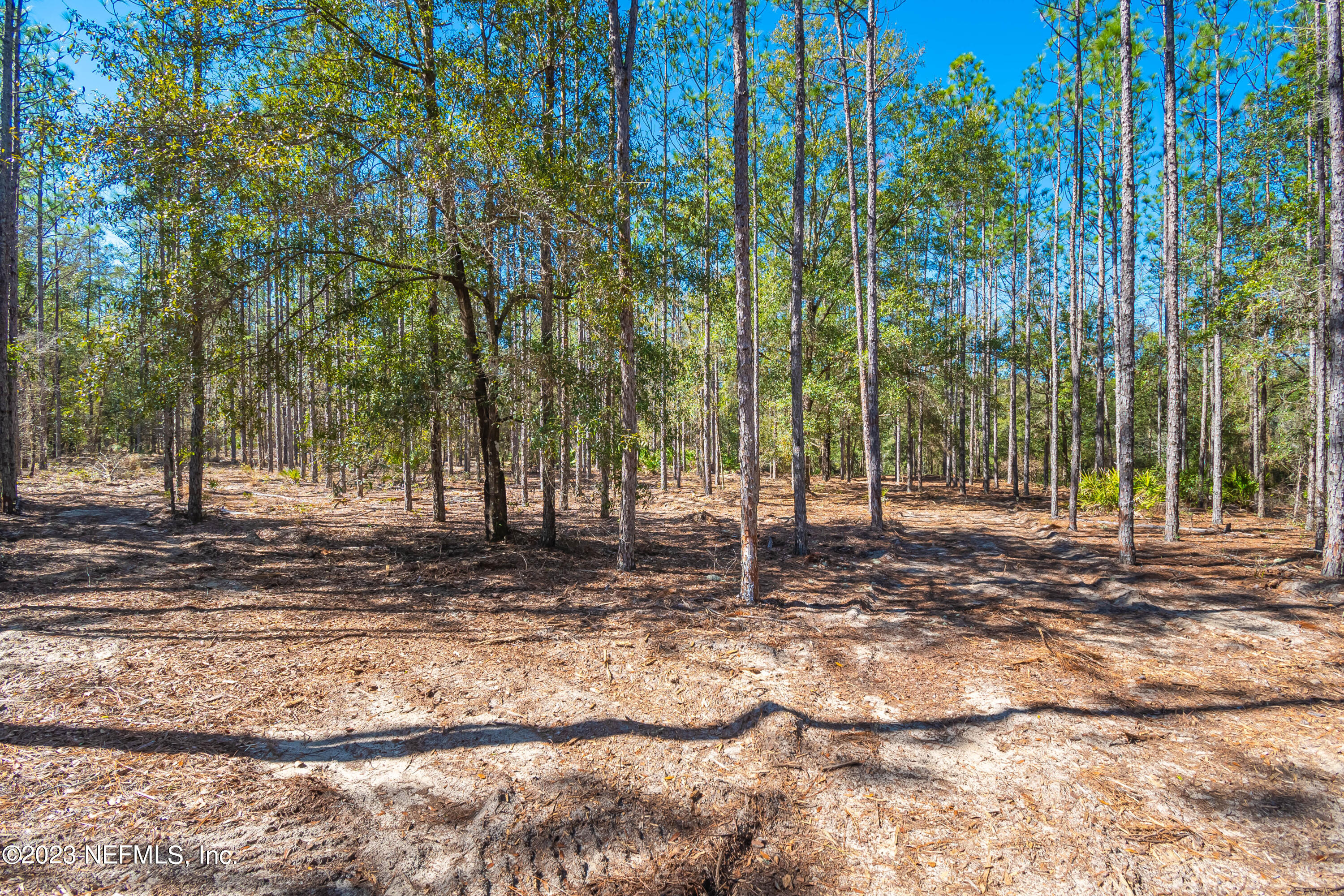 Lot 11 Steel Bridge Road Macclenny, FL 32063 - Photo 9 of 15 untitled-3678
