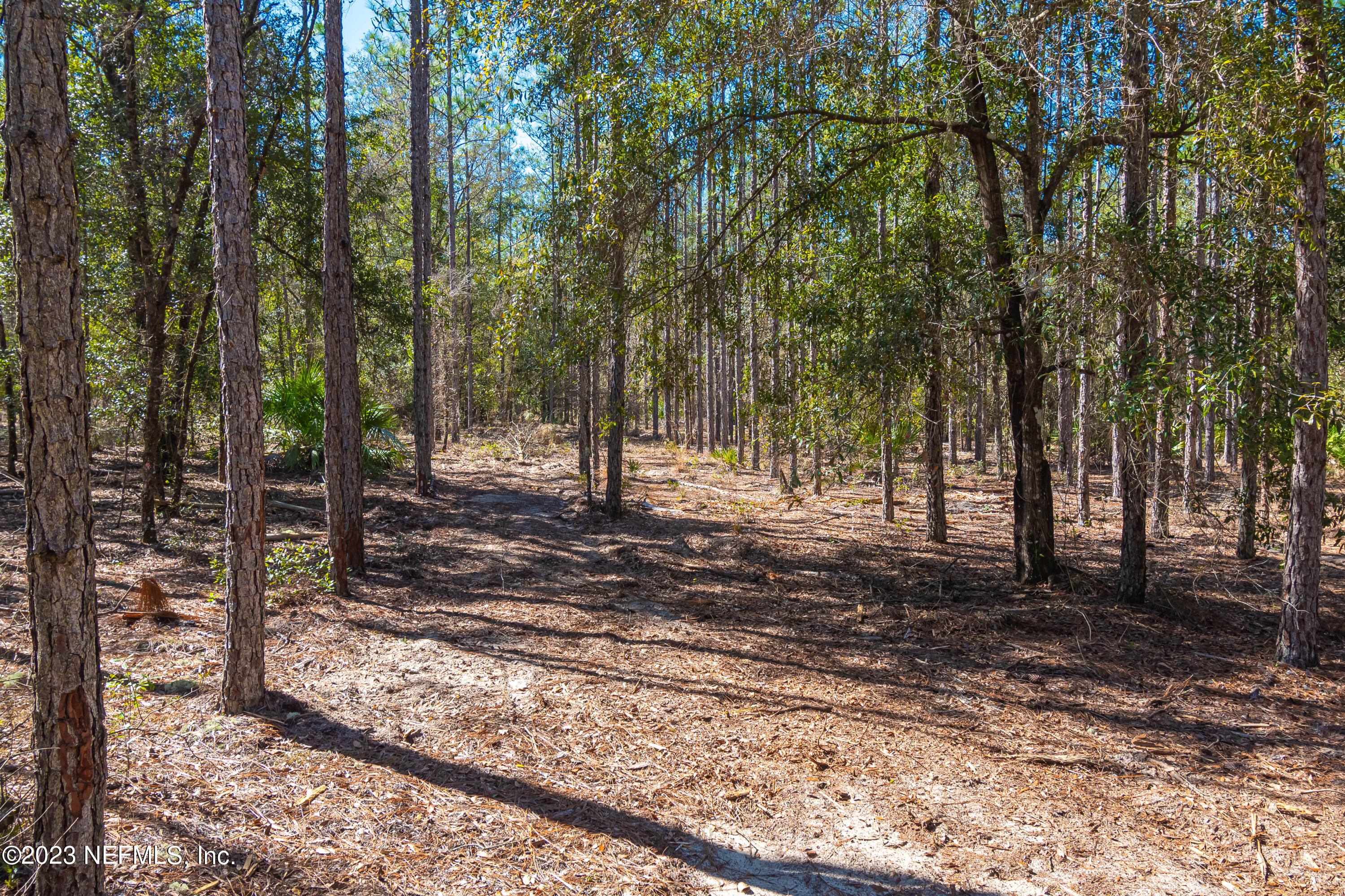 Lot 11 Steel Bridge Road Macclenny, FL 32063 - Photo 10 of 15 untitled-3679