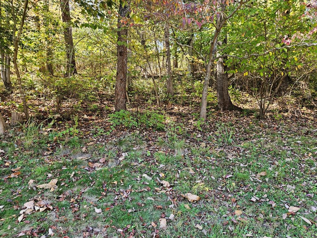 3335 Old Rte 100 Pulaski, VA 24301 - Photo 10 of 33 Gallery Image 10