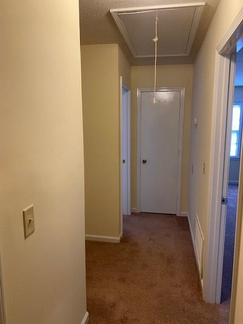 2406 Spring Street Sumter, SC 29154 - Photo 14 of 18