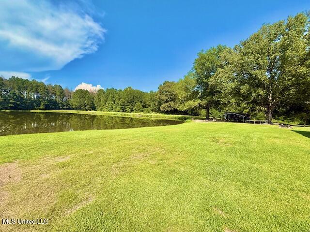 4036 Monticello Road Wesson, MS 39191 - Photo 33 of 40 IMG_0904