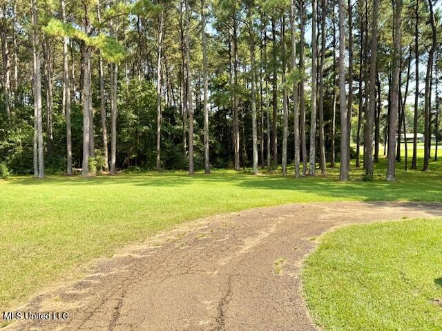 4036 Monticello Road Wesson, MS 39191 - Photo 37 of 40 IMG_0887