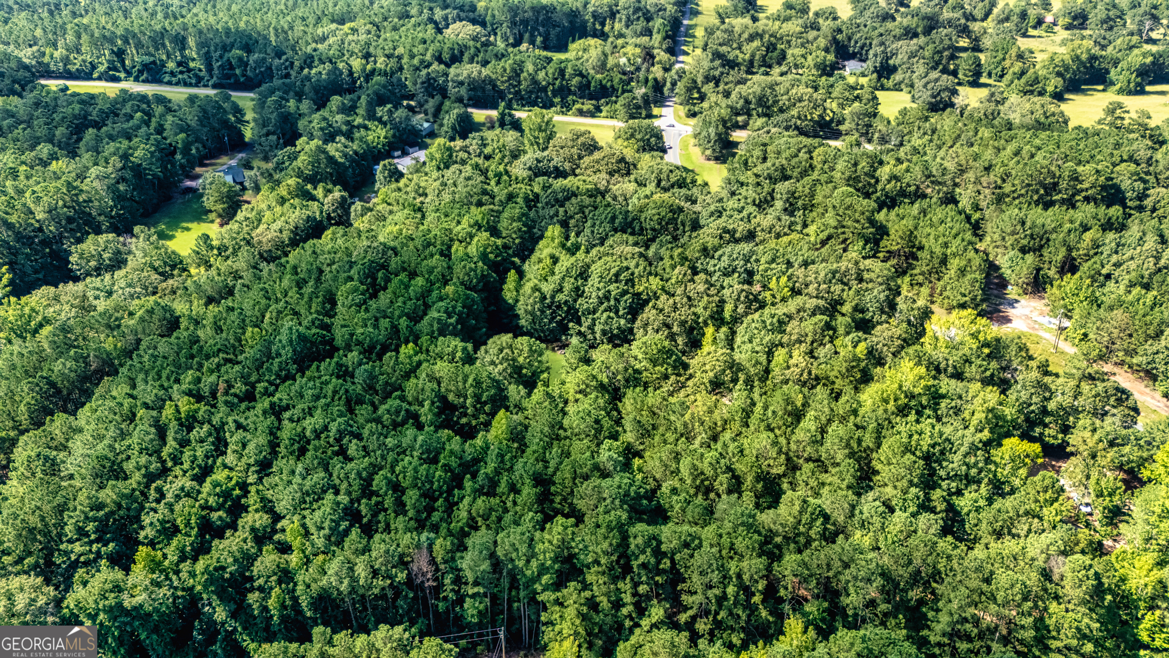 2001 Threadgill Road Greenville, GA 30222 - Photo 4 of 35