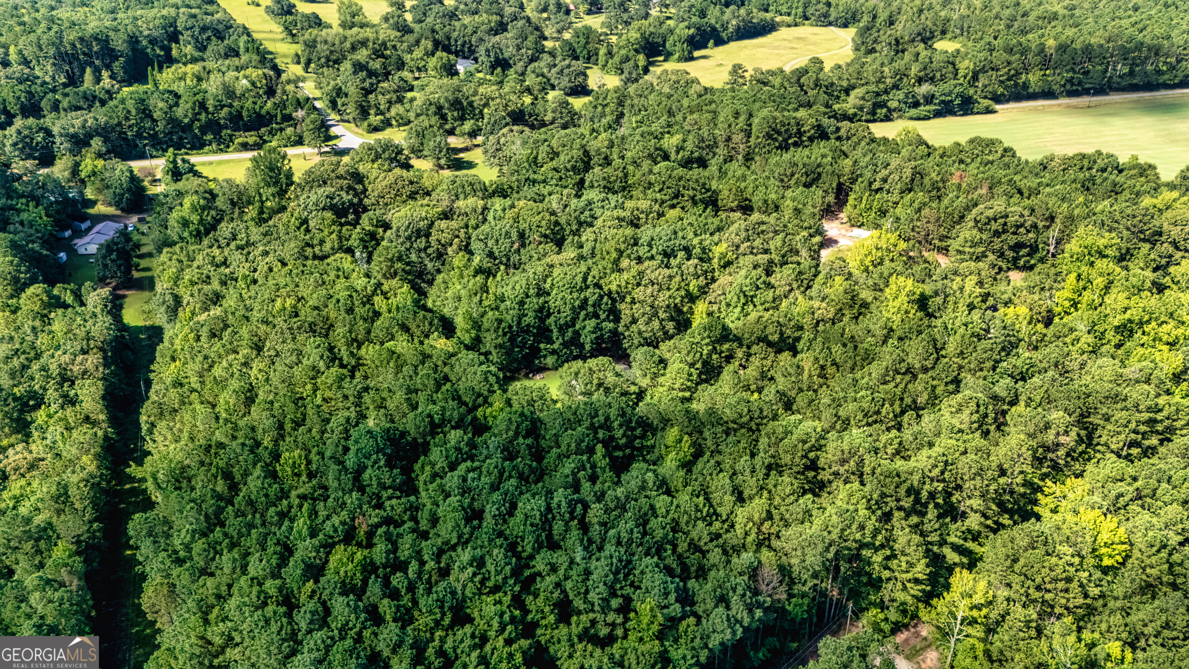 2001 Threadgill Road Greenville, GA 30222 - Photo 5 of 35