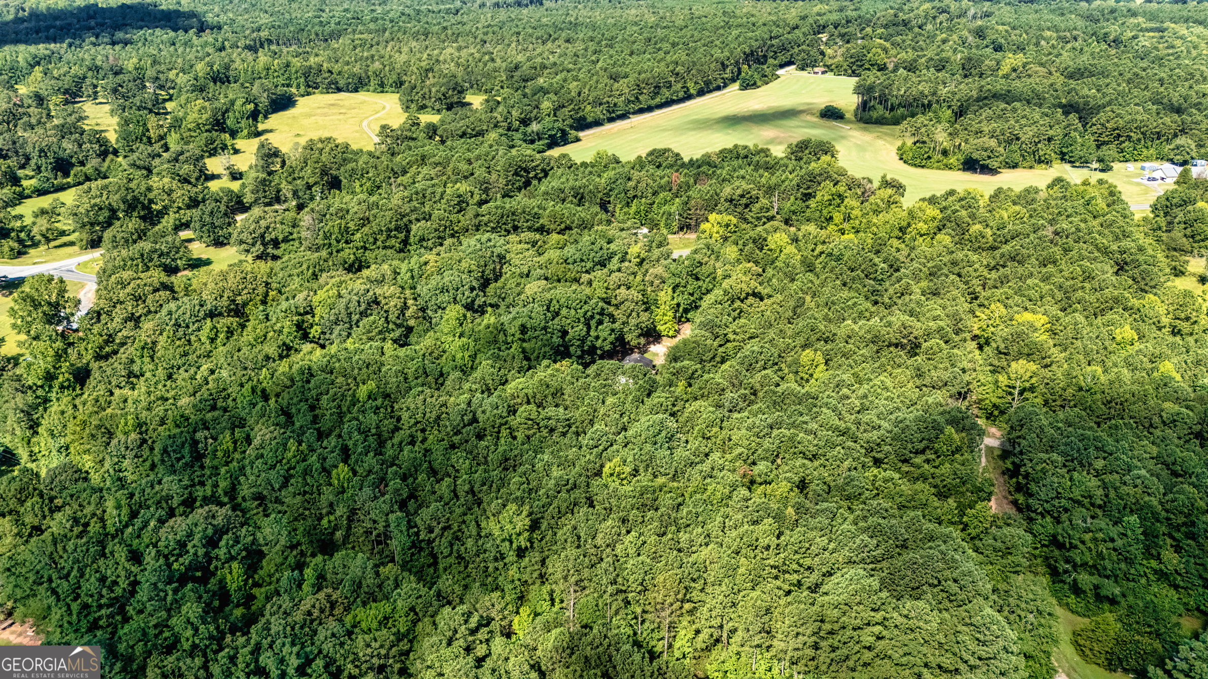 2001 Threadgill Road Greenville, GA 30222 - Photo 7 of 35