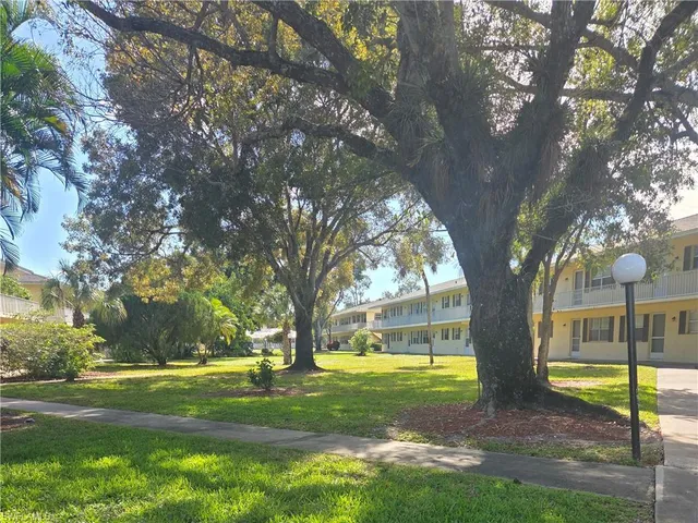a view of yard with tree s