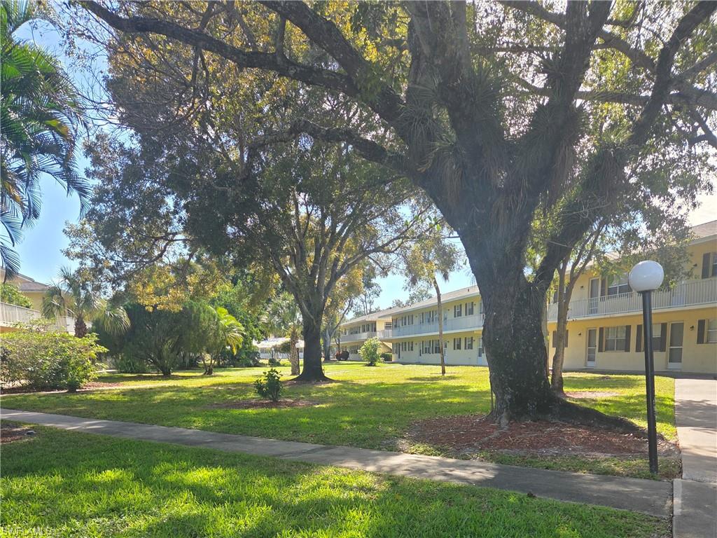 3325 Airport Road North, Unit G7 Naples, FL 34105 - Photo 9 of 13 a view of yard with tree s