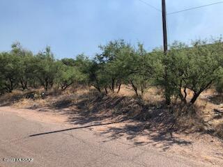 Tbd Avenida Papalote, Unit 58 Rio Rico, AZ 85648 - Photo 3 of 4 Gallery Image 3