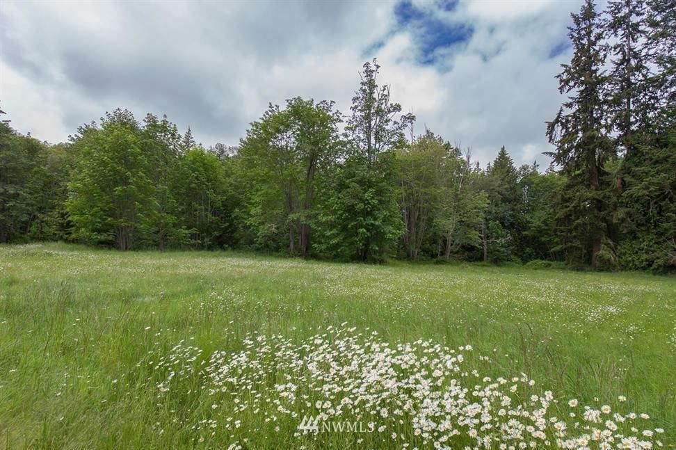 192 Rondale Drive Sequim, WA 98382 - Photo 10 of 40 a view of a lush green space