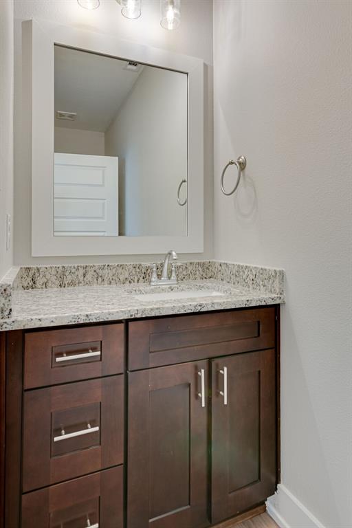 115 West Jones Street, Unit 103 Krum, TX 76249 - Photo 11 of 21 a sink with a granite countertop vanity and mirror